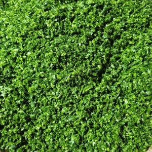 سبزی خورشی 400گرم