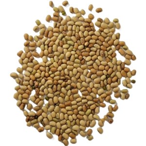 لوبیا ریز جیرفتی اعلا فله