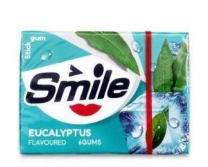 ادامس استیک 6عددی اکالیپتوس smile