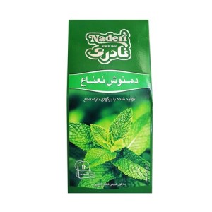 دمنوش تی بگ نعناع نادری